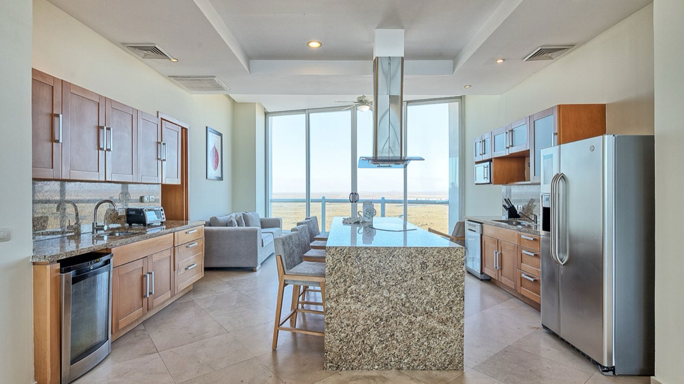 Penthouse kitchen